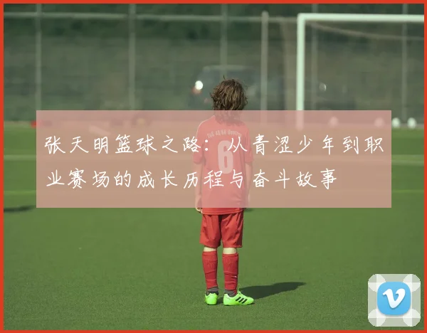 张天明篮球之路：从青涩少年到职业赛场的成长历程与奋斗故事