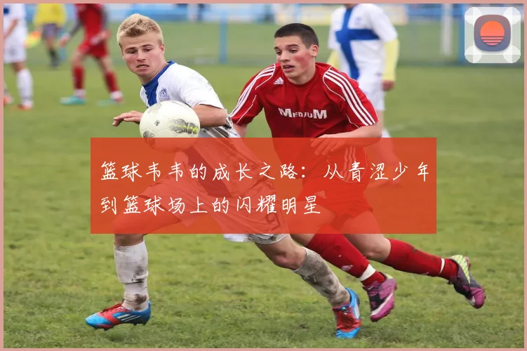 篮球韦韦的成长之路：从青涩少年到篮球场上的闪耀明星