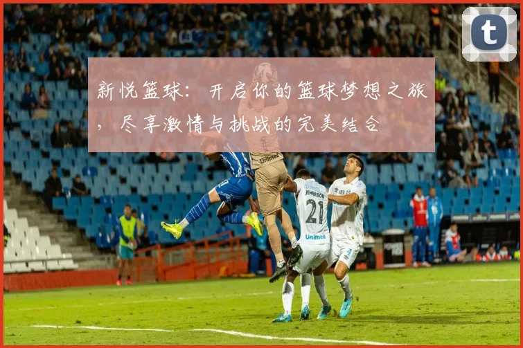 新悦篮球：开启你的篮球梦想之旅，尽享激情与挑战的完美结合