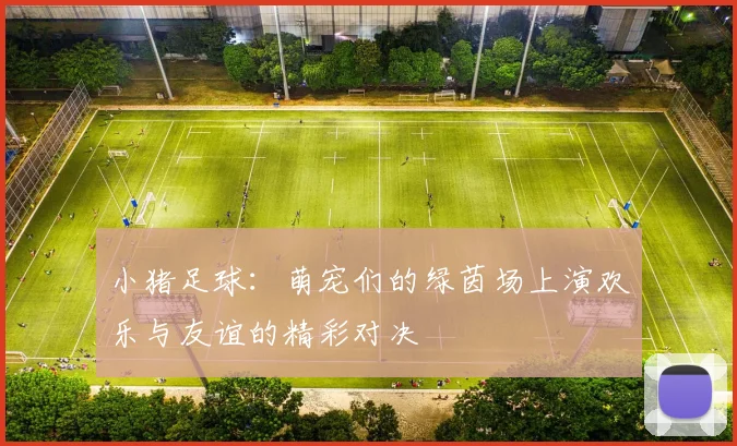 小猪足球：萌宠们的绿茵场上演欢乐与友谊的精彩对决
